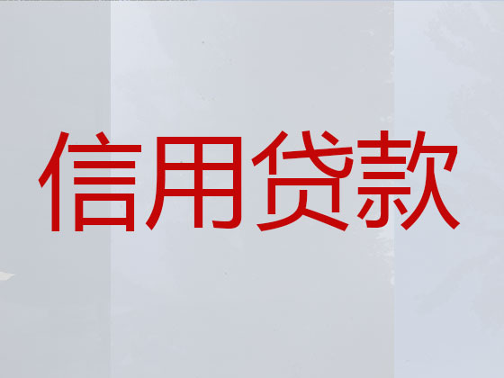 嘉善信用贷款中介公司